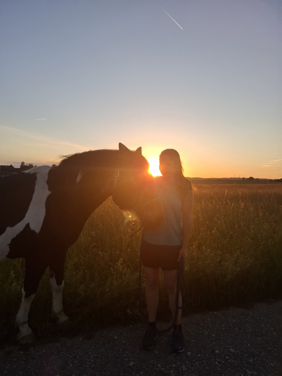 Tamara mit ihrem Pferd beim Sonnenuntergang